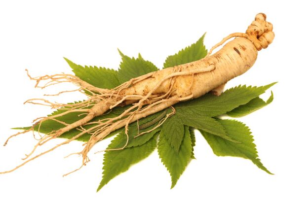 Ginseng root at zxcvbnmqwert spray