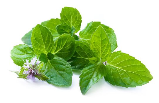 Mint leaves at zxcvbnmqwert spray
