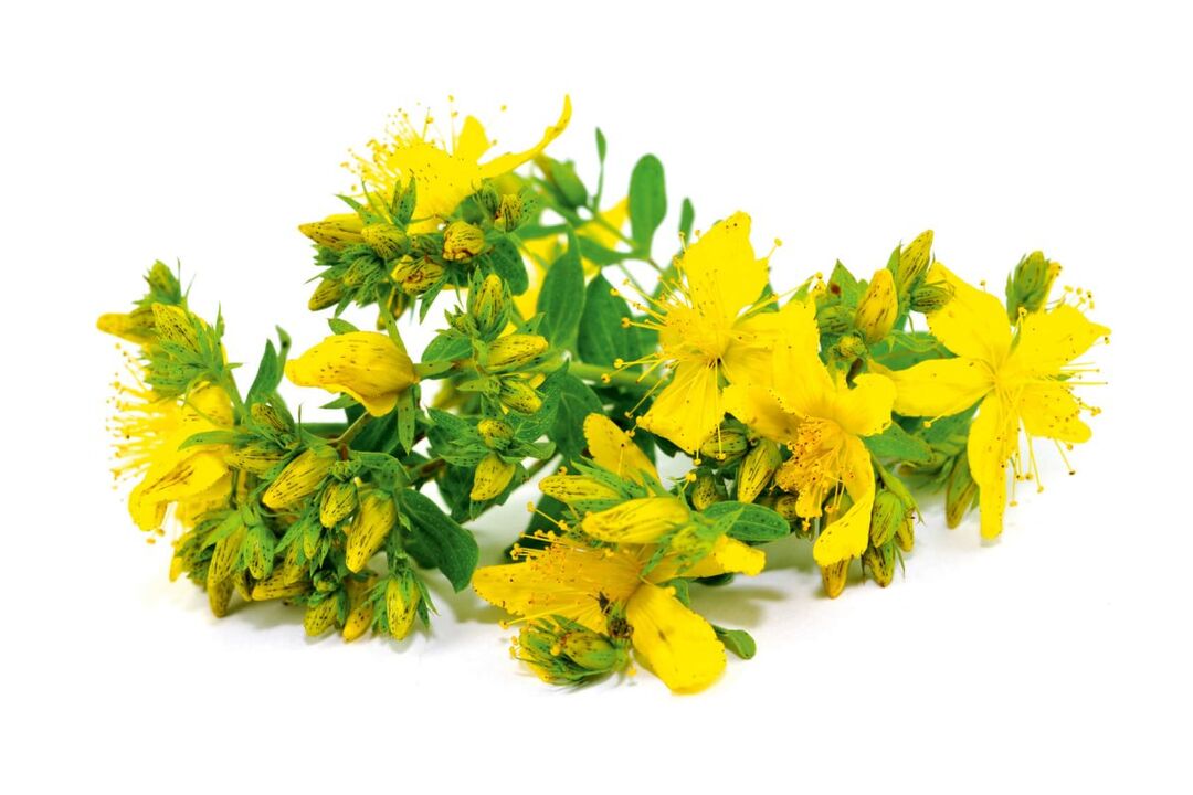 St. John Wort on ZxCVBNMQWERT Spray